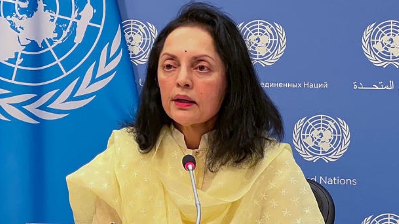 <div class="paragraphs"><p>Ruchira Kamboj addresses a press conference at the UN headquarters. </p></div>