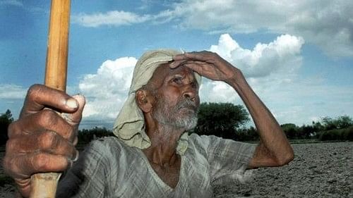 <div class="paragraphs"><p>Representative Image of Marathwada farmer.</p></div>