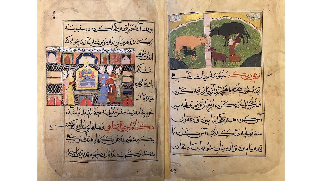 <div class="paragraphs"><p>Sultan Ghiyas al-Din seated on his throne. (Right) Illustration showing cows being milked&nbsp; c 1469–1510. </p></div>