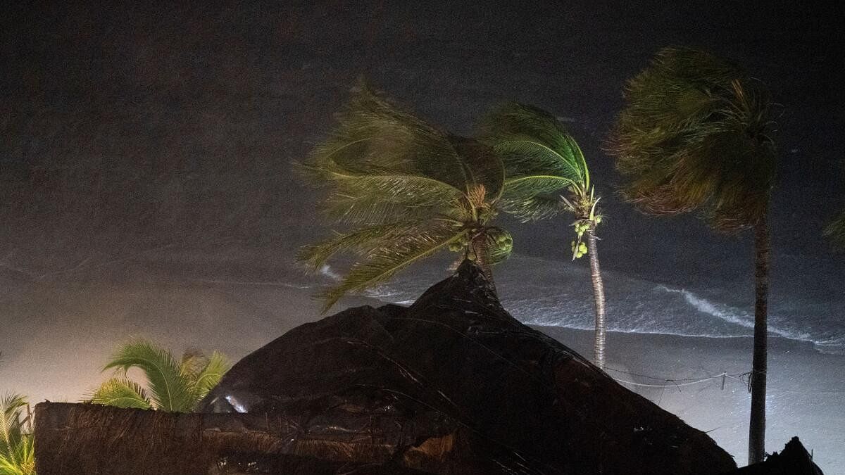 <div class="paragraphs"><p>Palm trees sway in the wind as Hurricane Lidia pounds Mexico's Pacific coast, in Puerto Vallarta, Mexico October 10, 2023. </p></div>