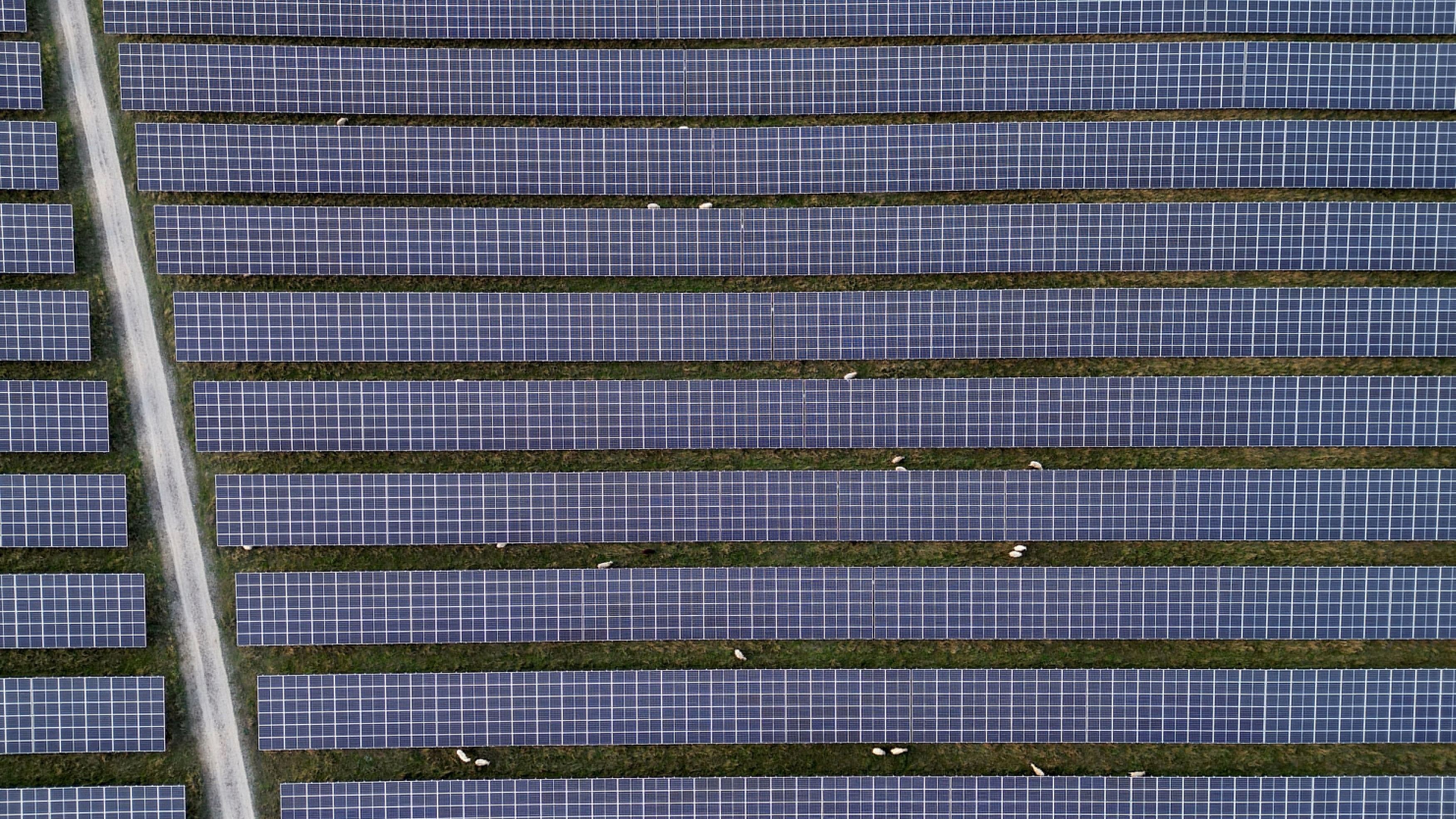 <div class="paragraphs"><p>Representative image of solar park.</p></div>