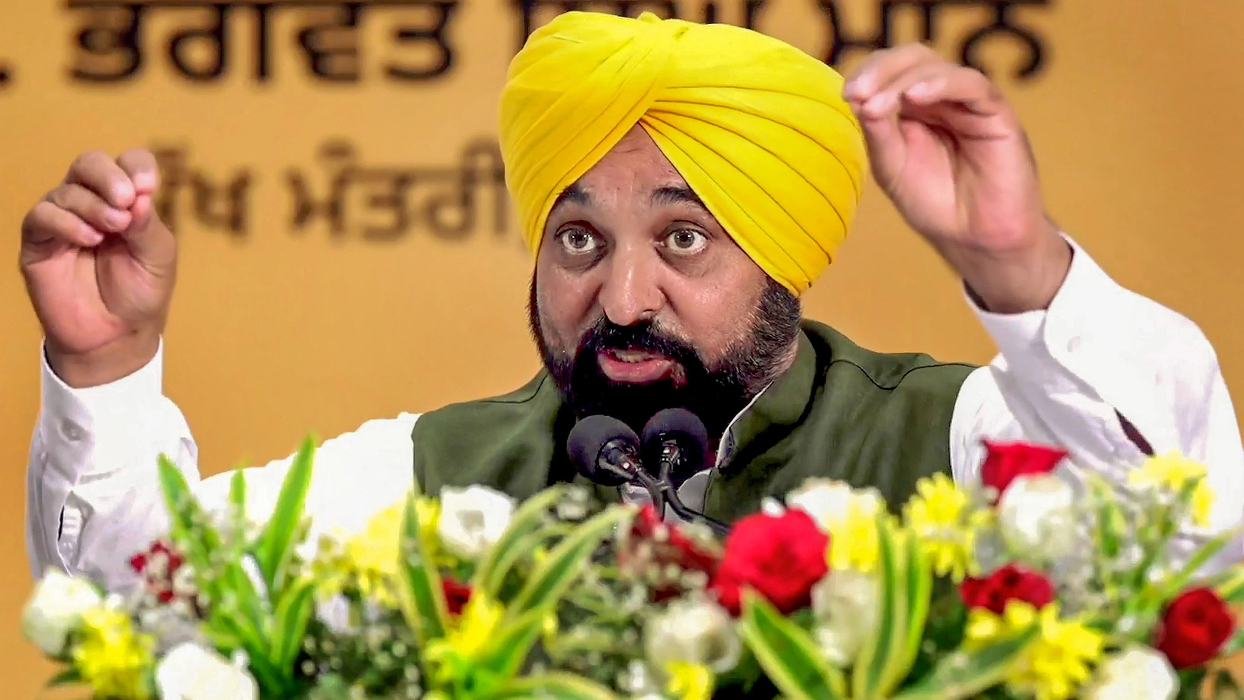 <div class="paragraphs"><p>Punjab Chief Minister Bhagwant Singh Mann.</p></div>