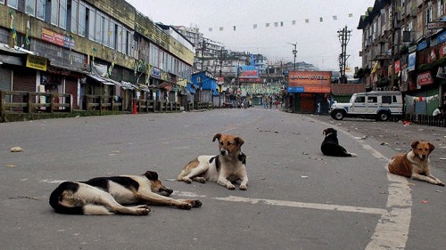 <div class="paragraphs"><p>Representative image of an empty road.</p></div>