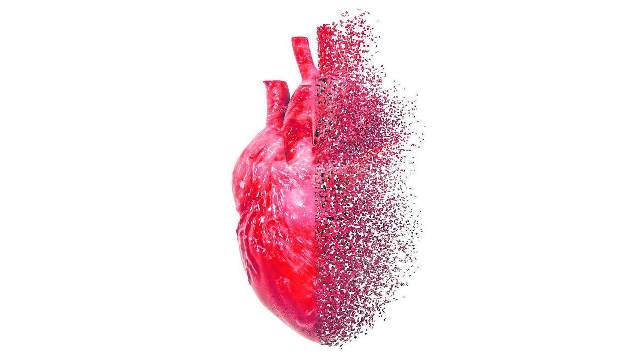 <div class="paragraphs"><p>Representative image showing a heart.</p></div>