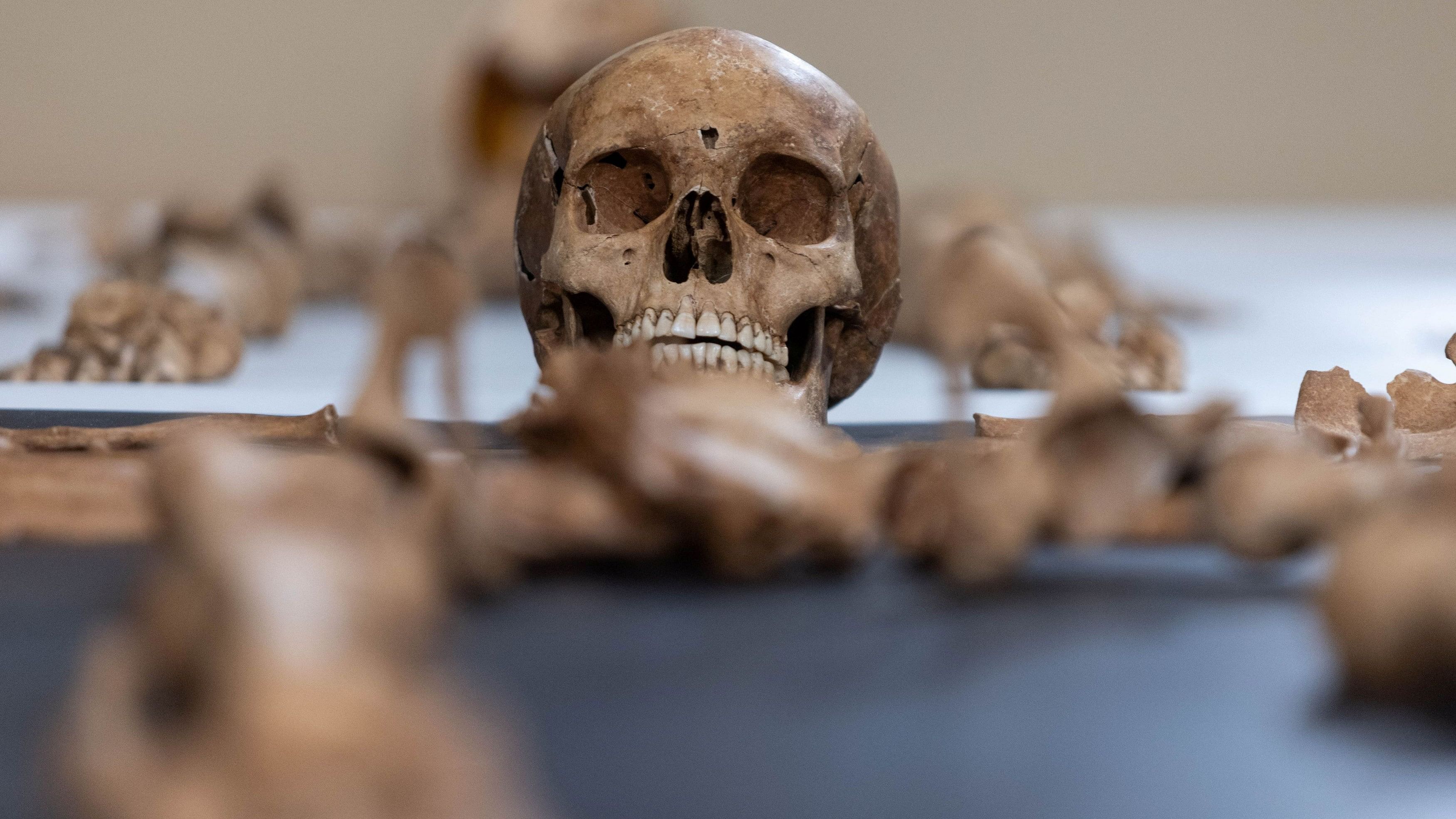 <div class="paragraphs"><p>Remains of a woman found at the 17th century cemetery for rejected people in the village of Pien, northern Poland, are revealed by Polish archaeologists from Nicolas Copernicus University in Torun, Poland October 27, 2023.</p></div>
