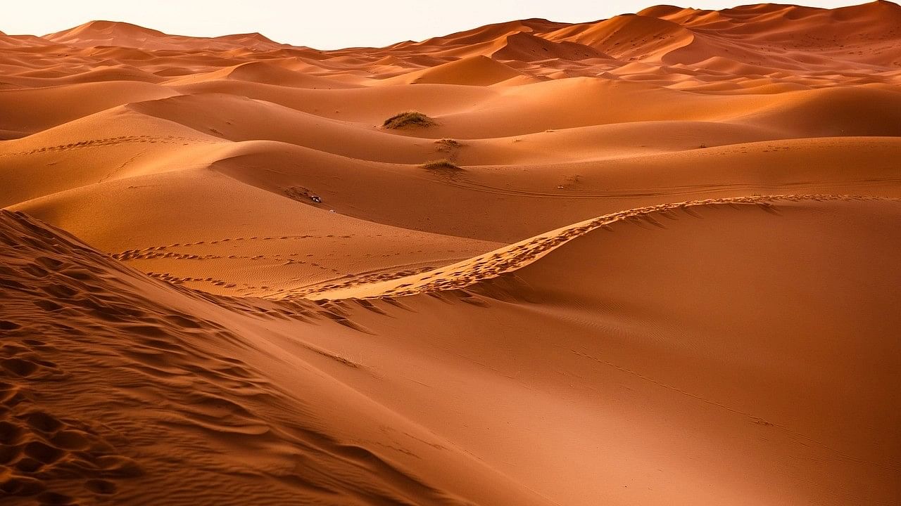 <div class="paragraphs"><p>Representative image of a desert.</p></div>