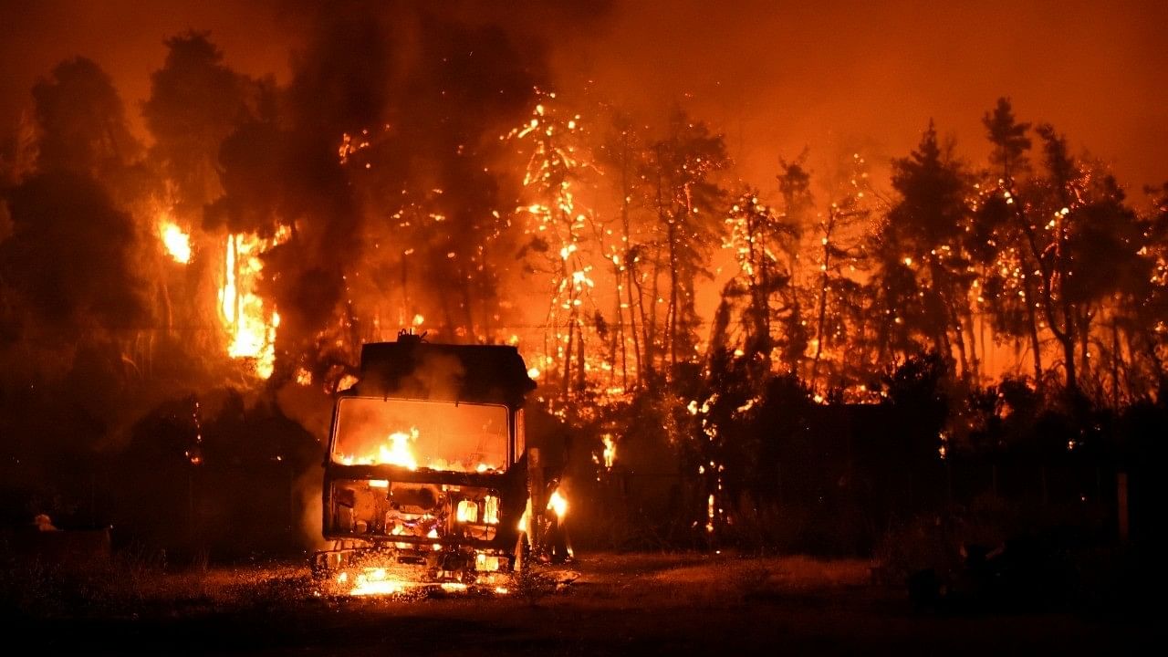 <div class="paragraphs"><p>Representative image of wildfires in Australia.</p></div>