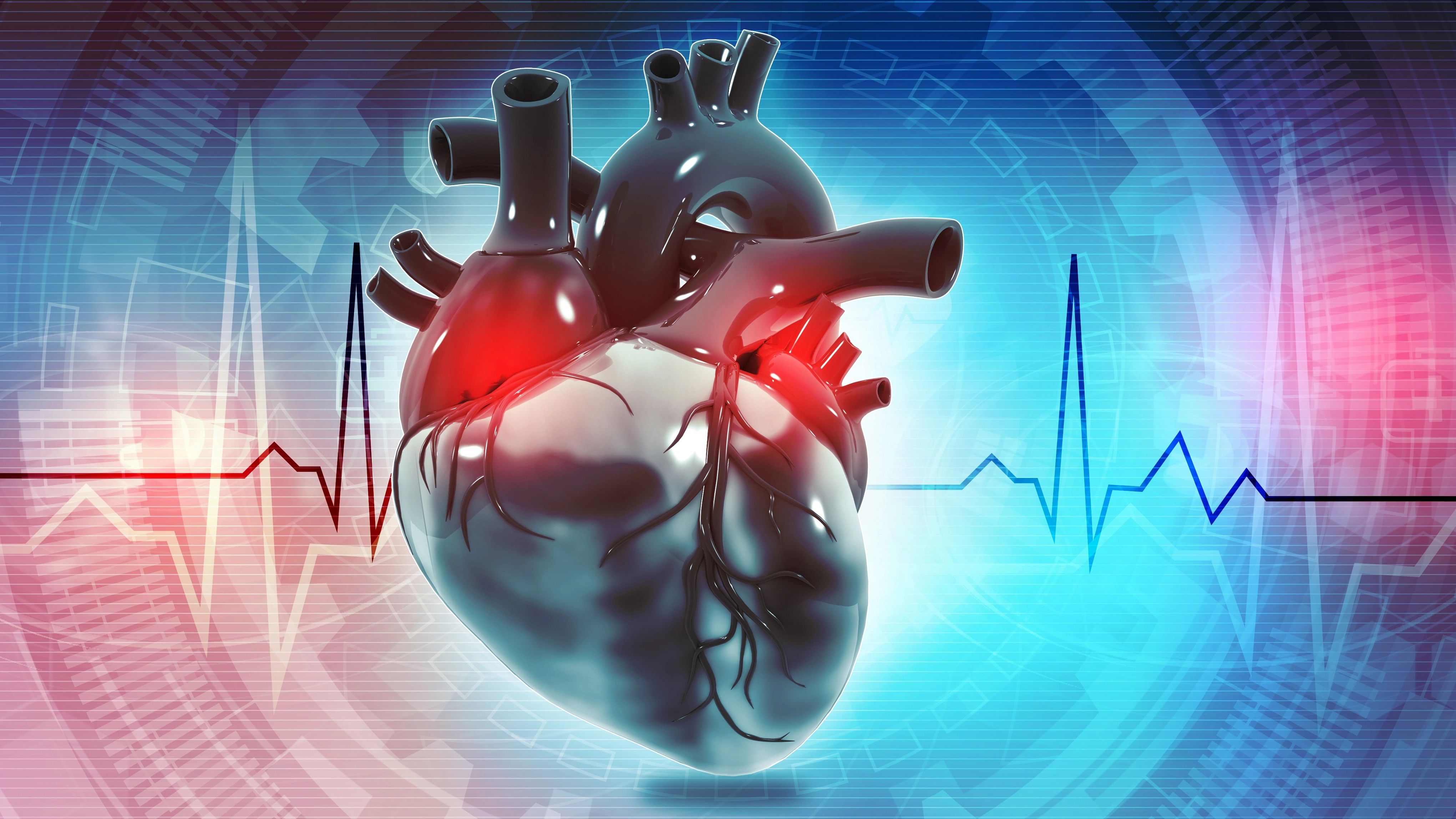 <div class="paragraphs"><p>Representative image of heart.</p></div>