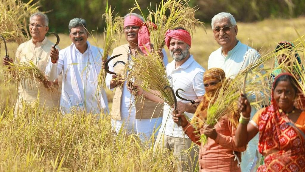 <div class="paragraphs"><p>The Congress released pictures of Gandhi with farmers working in a paddy field and interacting with them.</p></div>