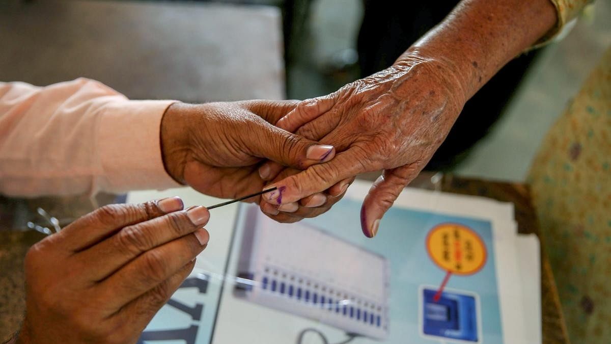 <div class="paragraphs"><p>Representative image of a voter.</p></div>