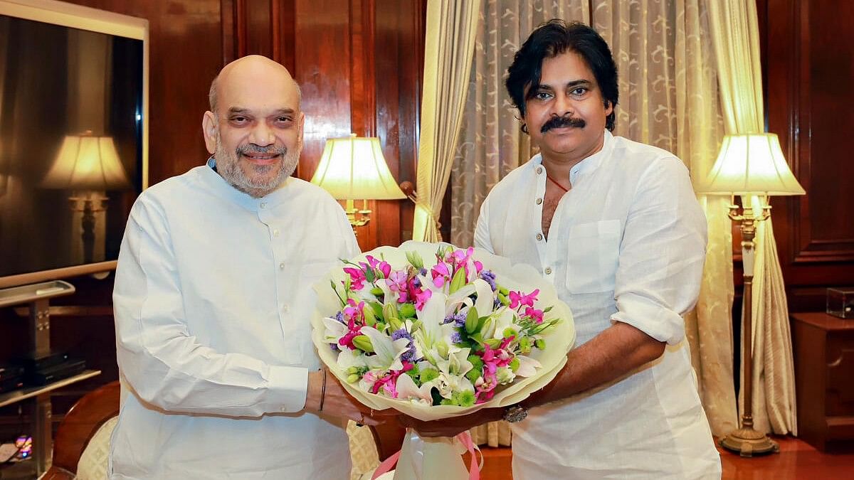 <div class="paragraphs"><p>Actor-turned-politician Pawan Kalyan and Union Home Minister Amit Shah</p></div>