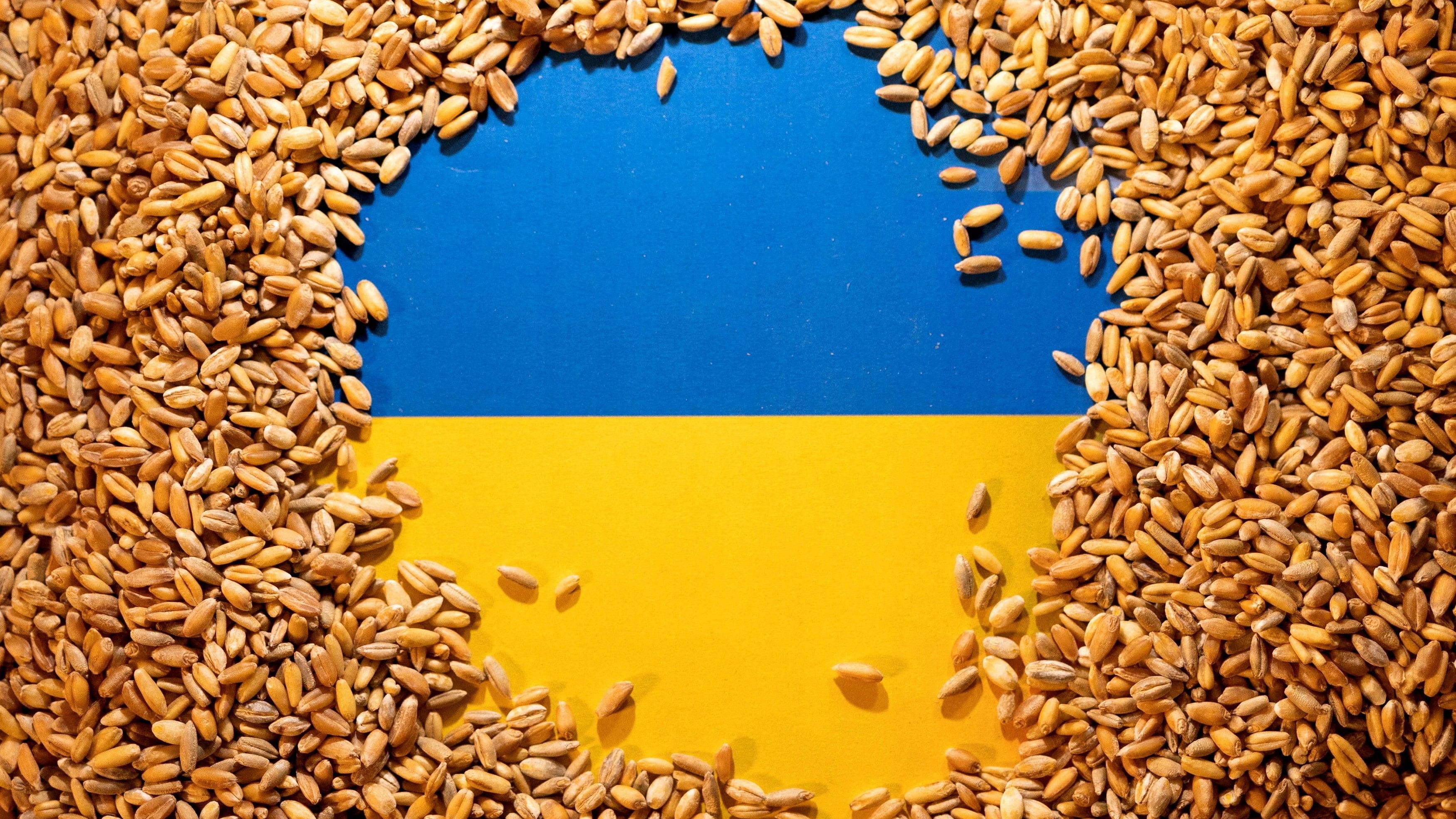 <div class="paragraphs"><p>Ukrainian flag covered with grains.</p></div>