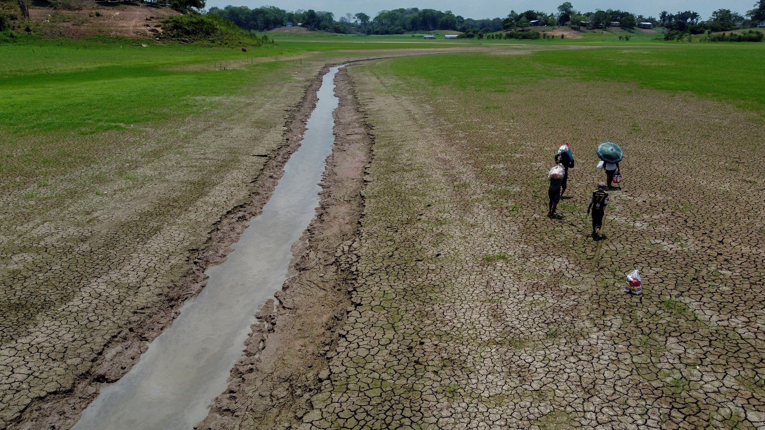 <div class="paragraphs"><p>Representative image of a dried up river bed. </p></div>