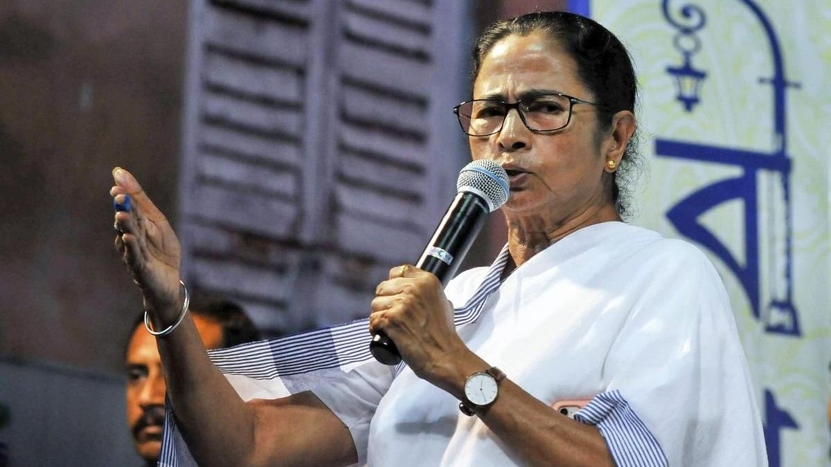 <div class="paragraphs"><p>West Bengal Chief Minister Mamata Banerjee.</p></div>