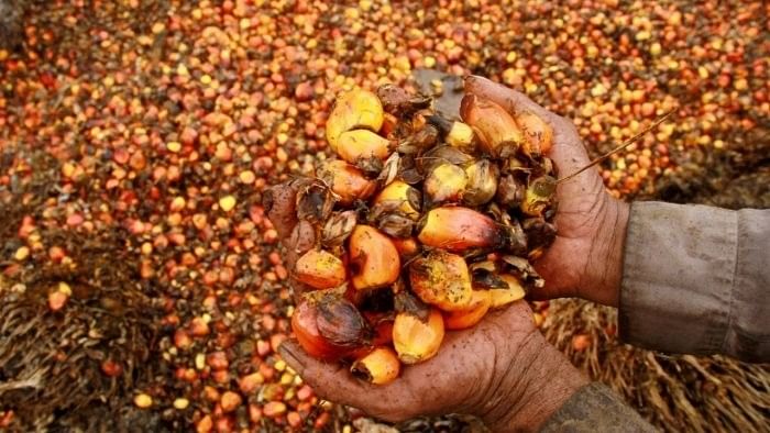 <div class="paragraphs"><p>Vegetable oil imports fell about 17 per cent to 1.55 million tons.</p></div>