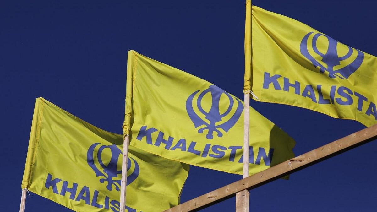 <div class="paragraphs"><p>Representative image showing Khalistan flags.</p></div>