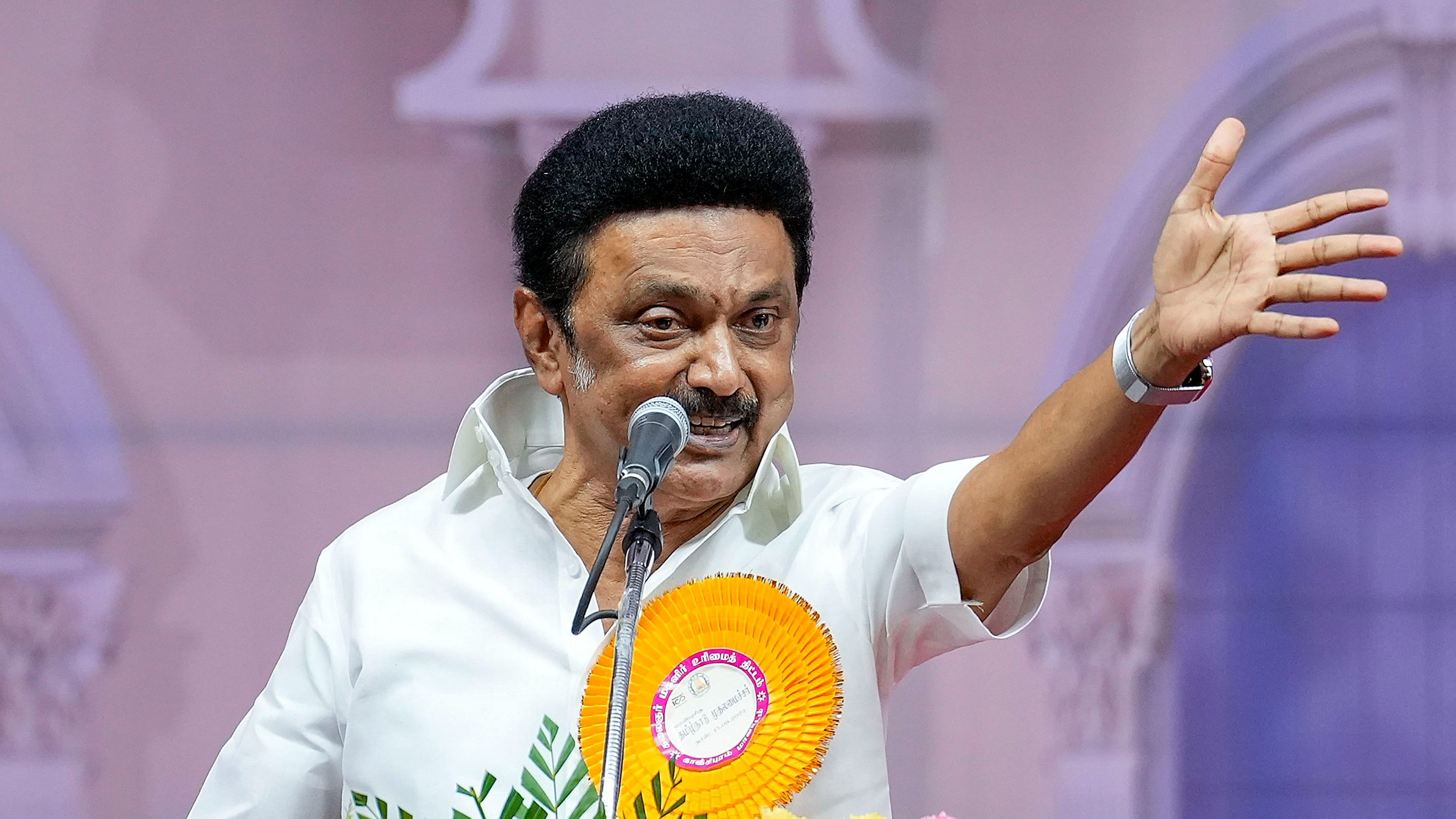 <div class="paragraphs"><p>Tamil Nadu Chief Minister M K Stalin.</p></div>