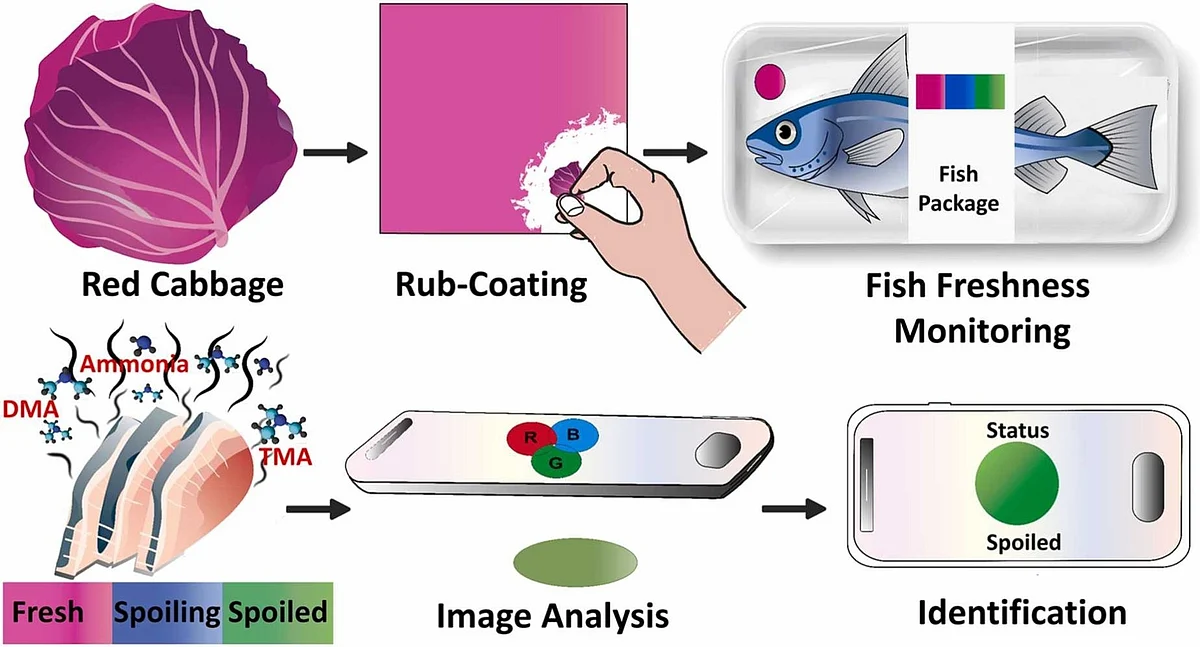 A rub and a click to smart-check your fish
