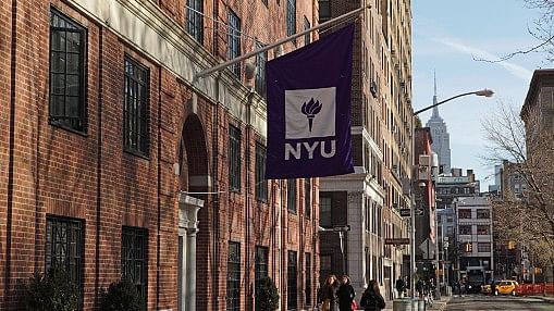 <div class="paragraphs"><p>New York University.</p></div>