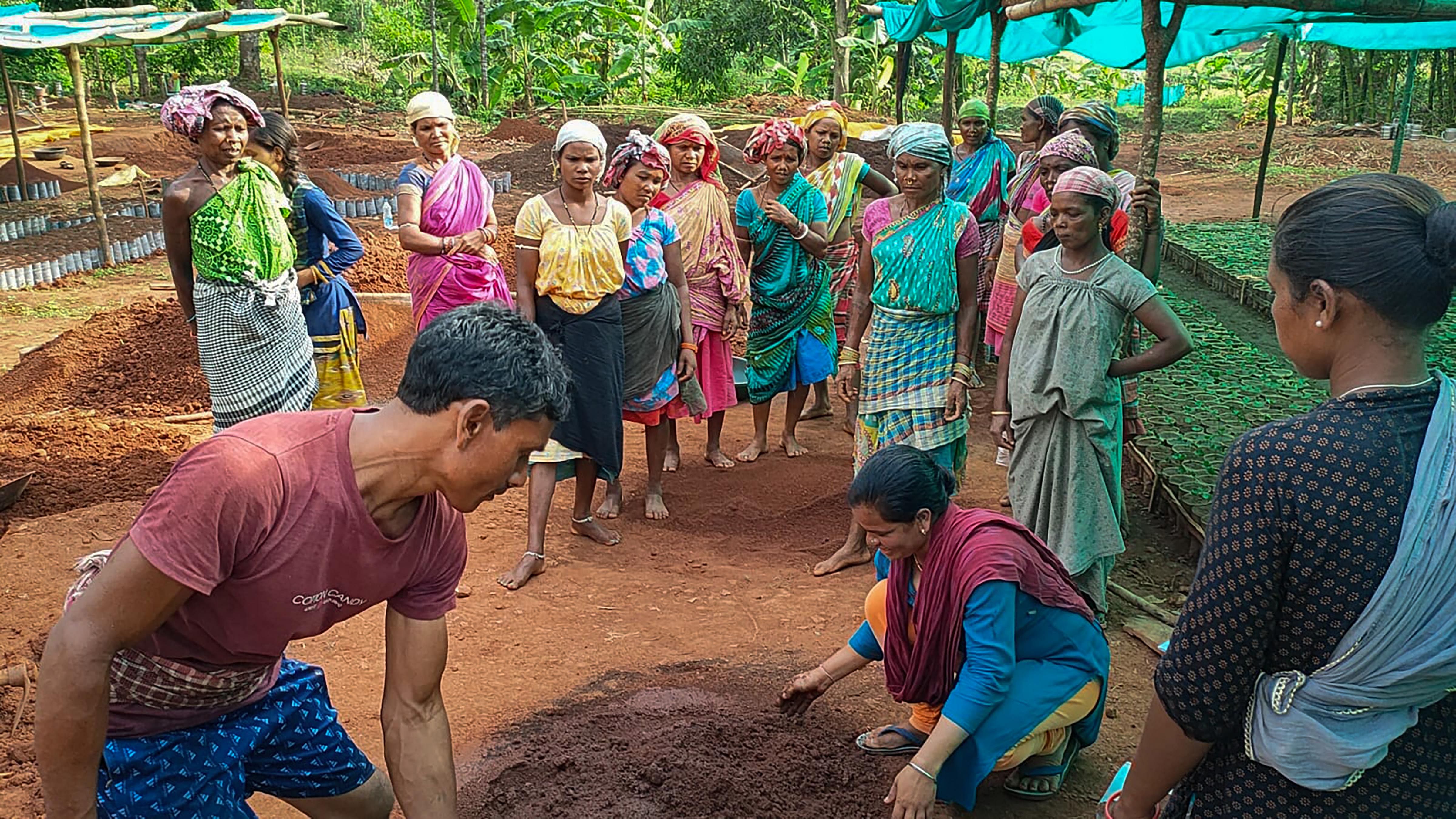 <div class="paragraphs"><p>Tribal farmers at a coffee cultivation field.</p></div>