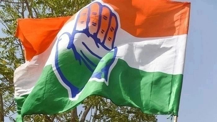 <div class="paragraphs"><p>The Congress flag.</p></div>