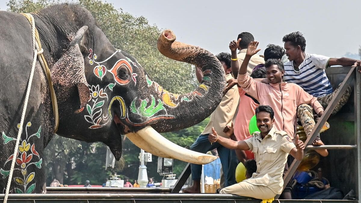 <div class="paragraphs"><p>Dasara elephant send-off.</p></div>