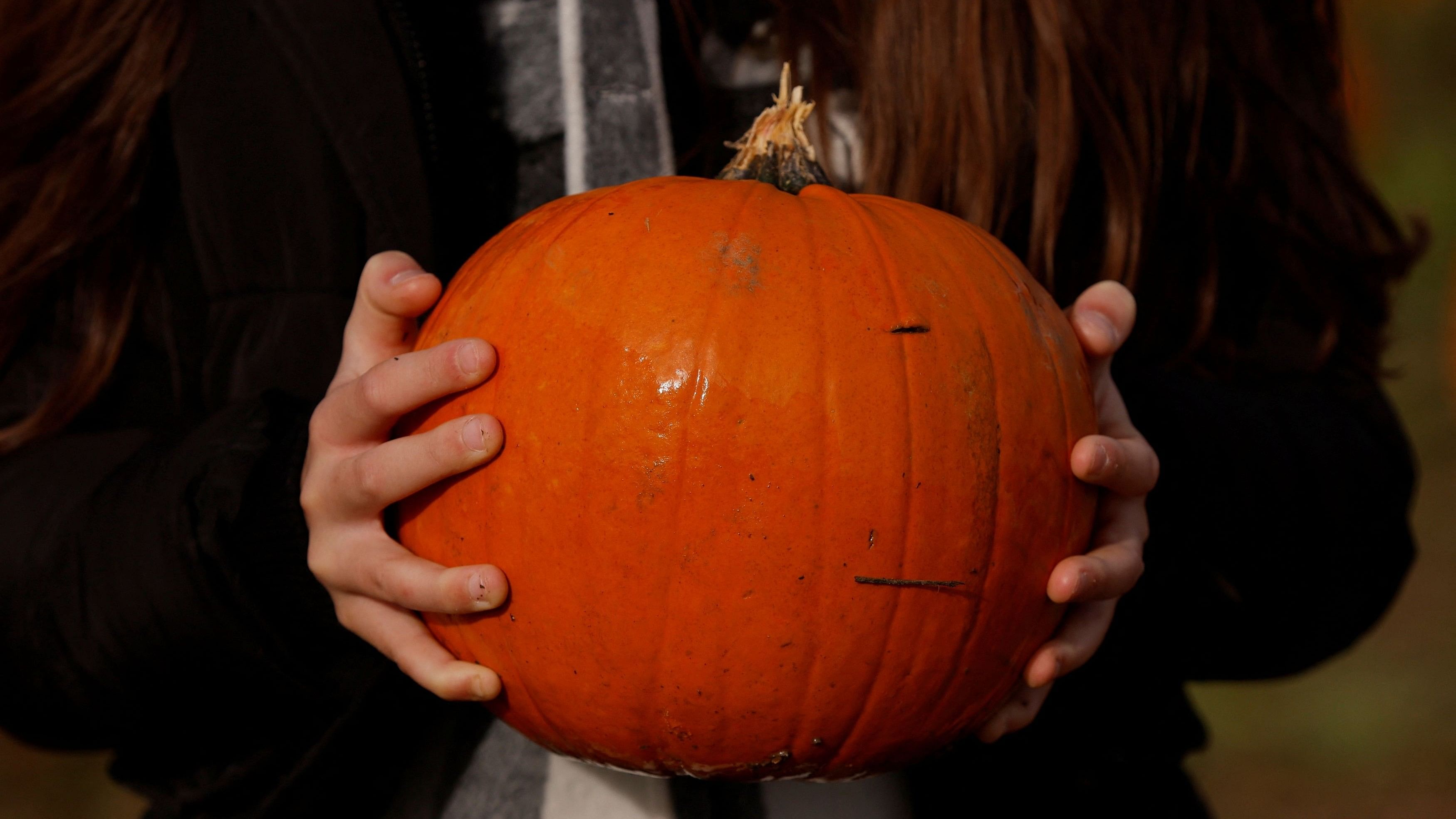 <div class="paragraphs"><p>Representative image of a person holds a pumpkin.</p></div>