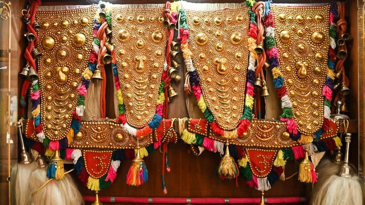<div class="paragraphs"><p>Gold-plated ornaments used to decorate Dasara elephants are on display at one of the gates to the Mysuru palace. </p></div>