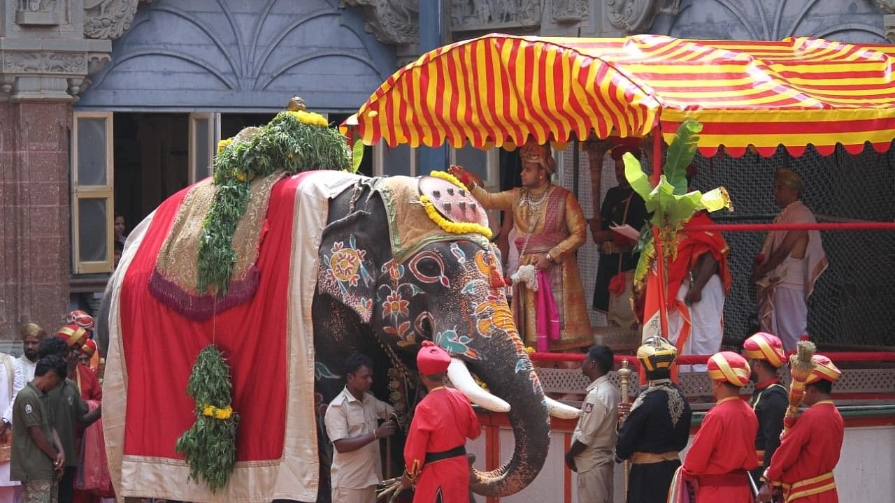 <div class="paragraphs"><p>Dussehra elephants, horses and cows were worshiped during Ayudha Puja at Mysore Palace on Monday.</p></div>