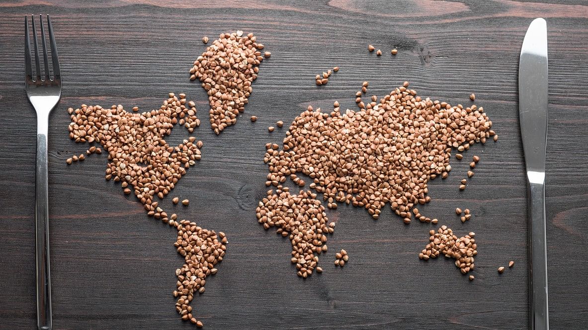 <div class="paragraphs"><p>Grain seeds shaped like the world map.</p></div>