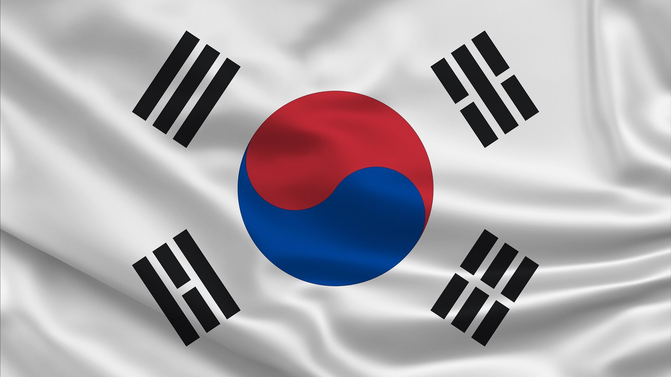 <div class="paragraphs"><p>South Korean flag.</p></div>