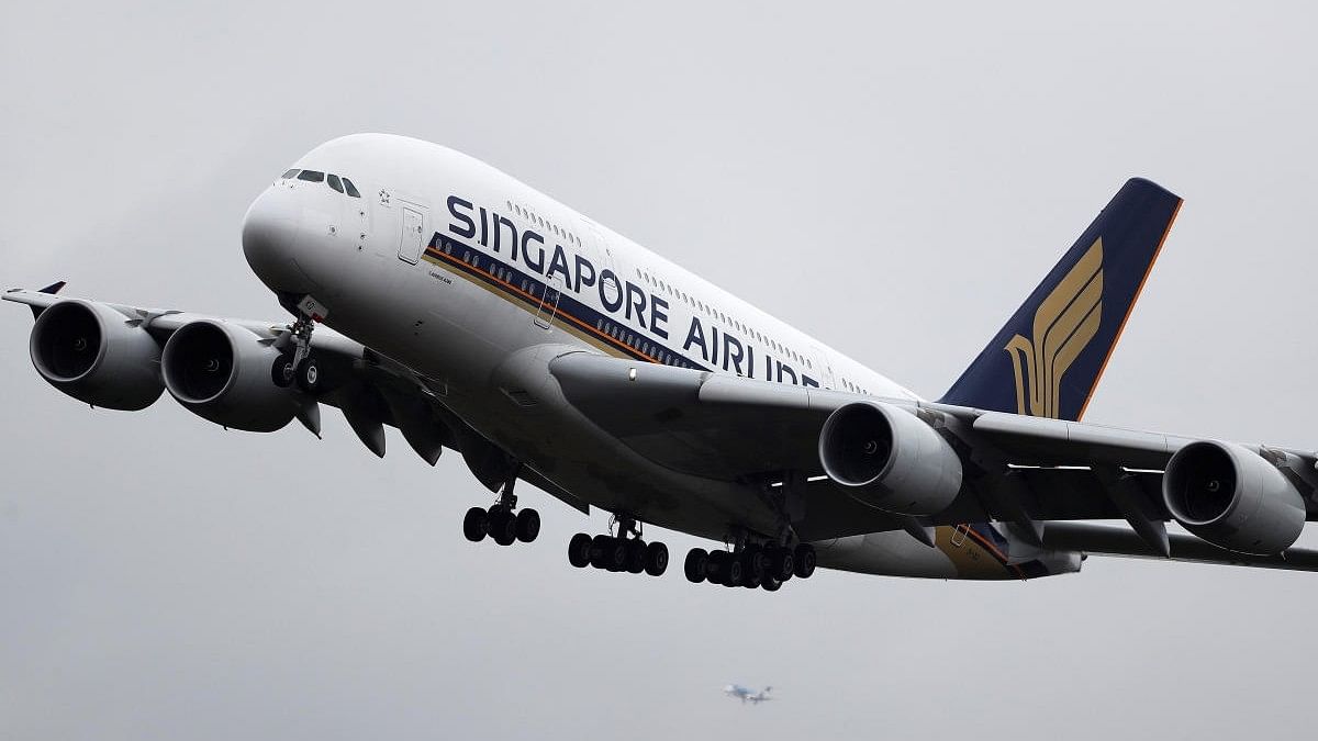 <div class="paragraphs"><p>Representative image of Singapore flight.</p></div>