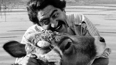 <div class="paragraphs"><p>'The Cow' (1969) is regarded as the&nbsp;film that ushered in the new wave movement in Iranian cinema.&nbsp;</p></div>