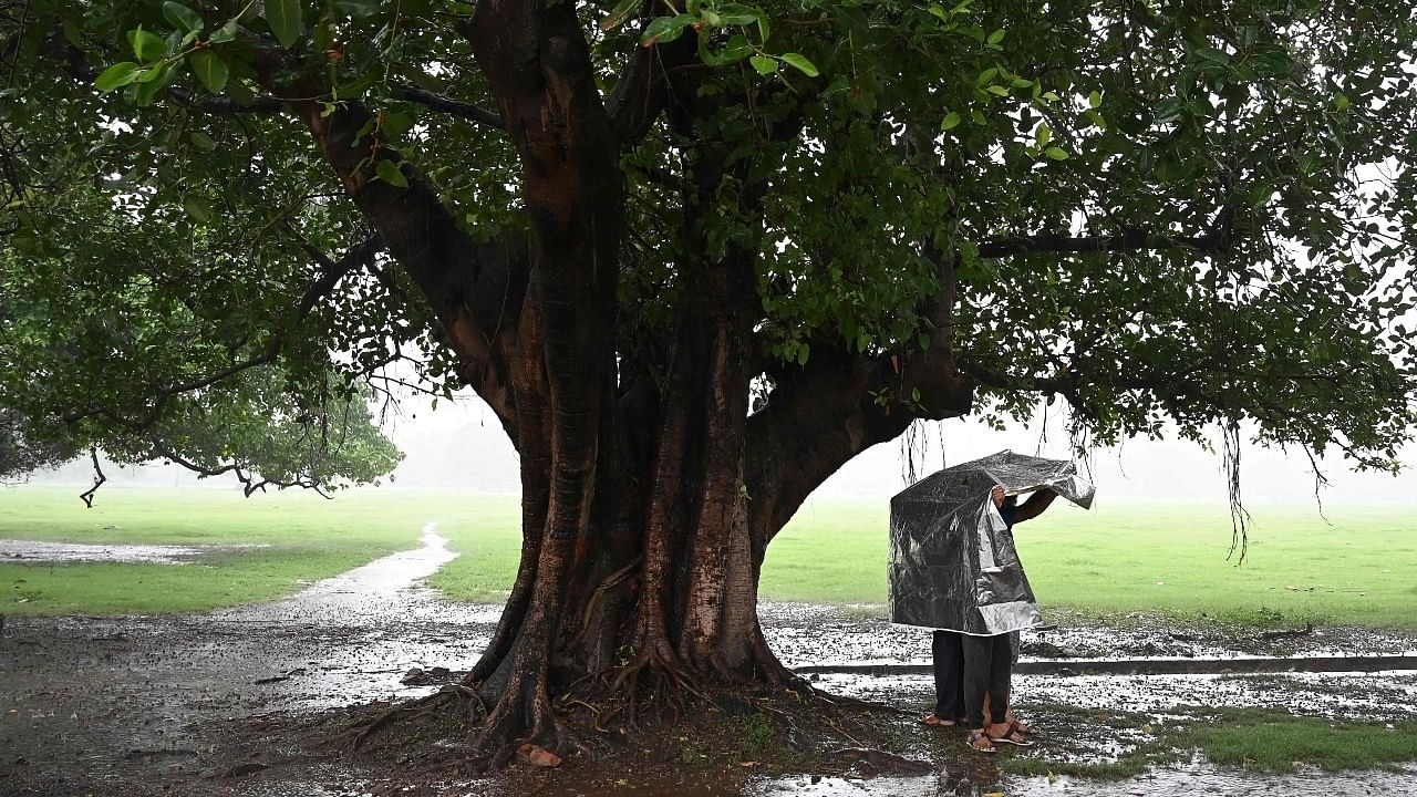 <div class="paragraphs"><p>Representative image of rain in the northeastern states.&nbsp;</p></div>