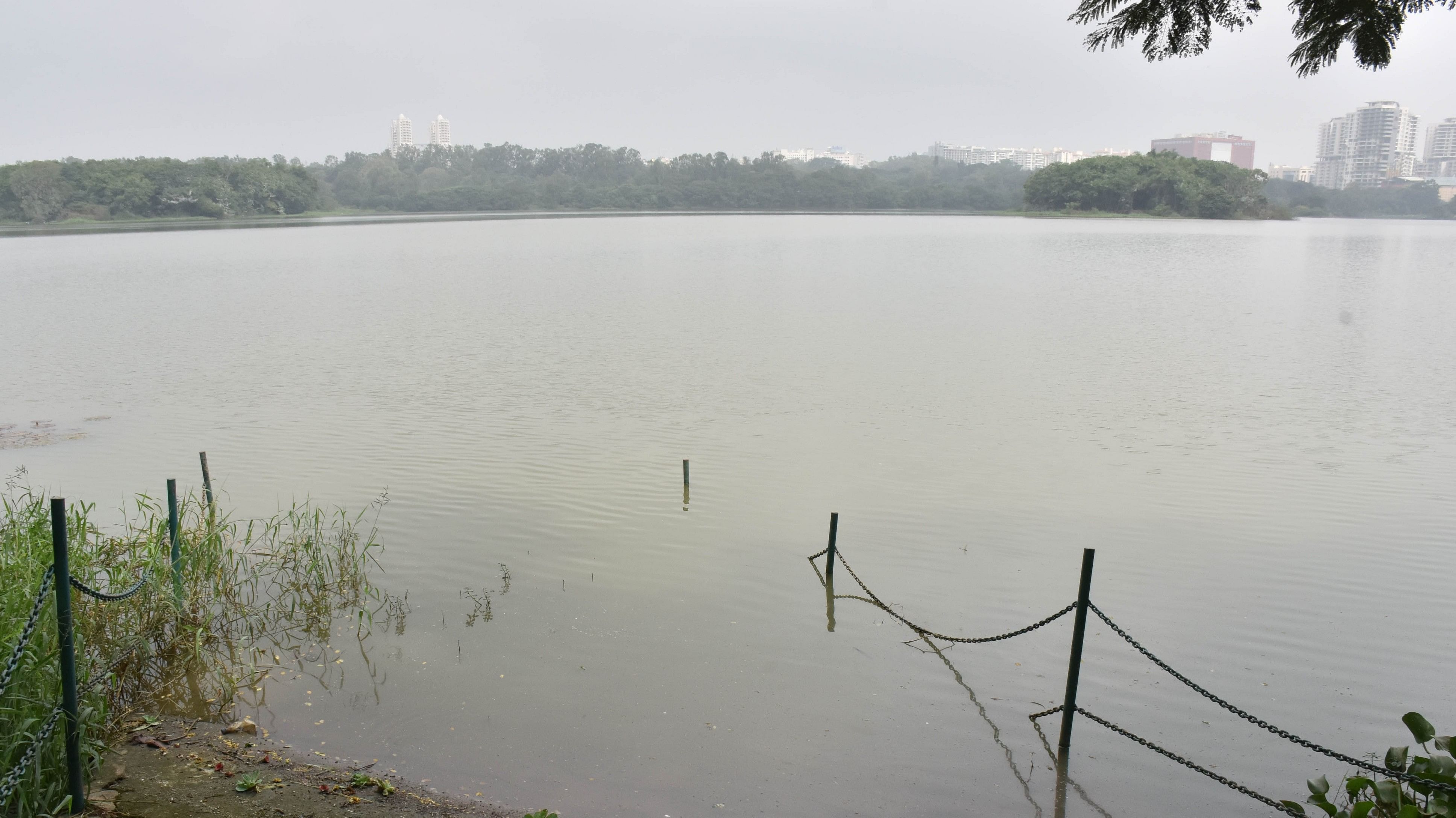 <div class="paragraphs"><p>The BBMP is tasked with overseeing the development and maintenance of Hebbal Lake, with financial support provided through government grants.</p></div>