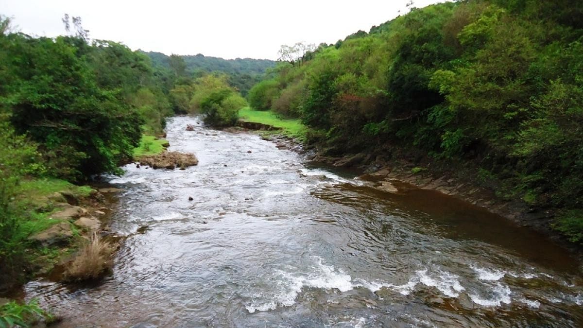 <div class="paragraphs"><p>The Mahadayi river near Kakakumbi village in Khanapur taluk of Belagavi district. </p></div>