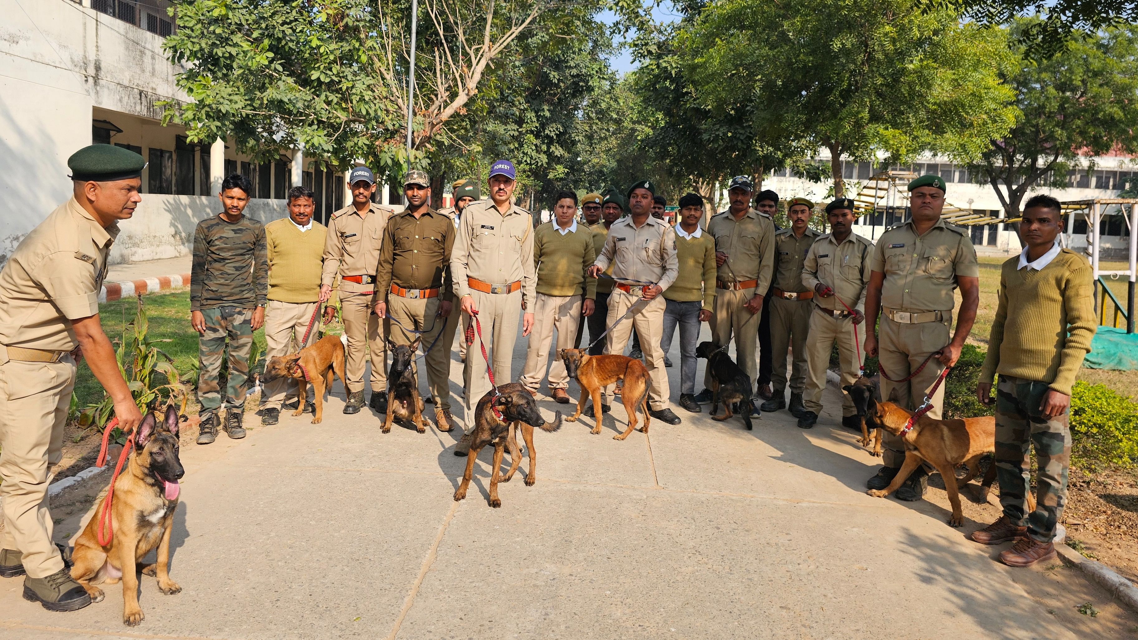 <div class="paragraphs"><p>The sniffer dog squad of Trade Records Analysis of Flora and Fauna in Commerce (TRAFFIC) and World Wide Fund for Nature (WWF). Image for representation only.&nbsp;</p></div>