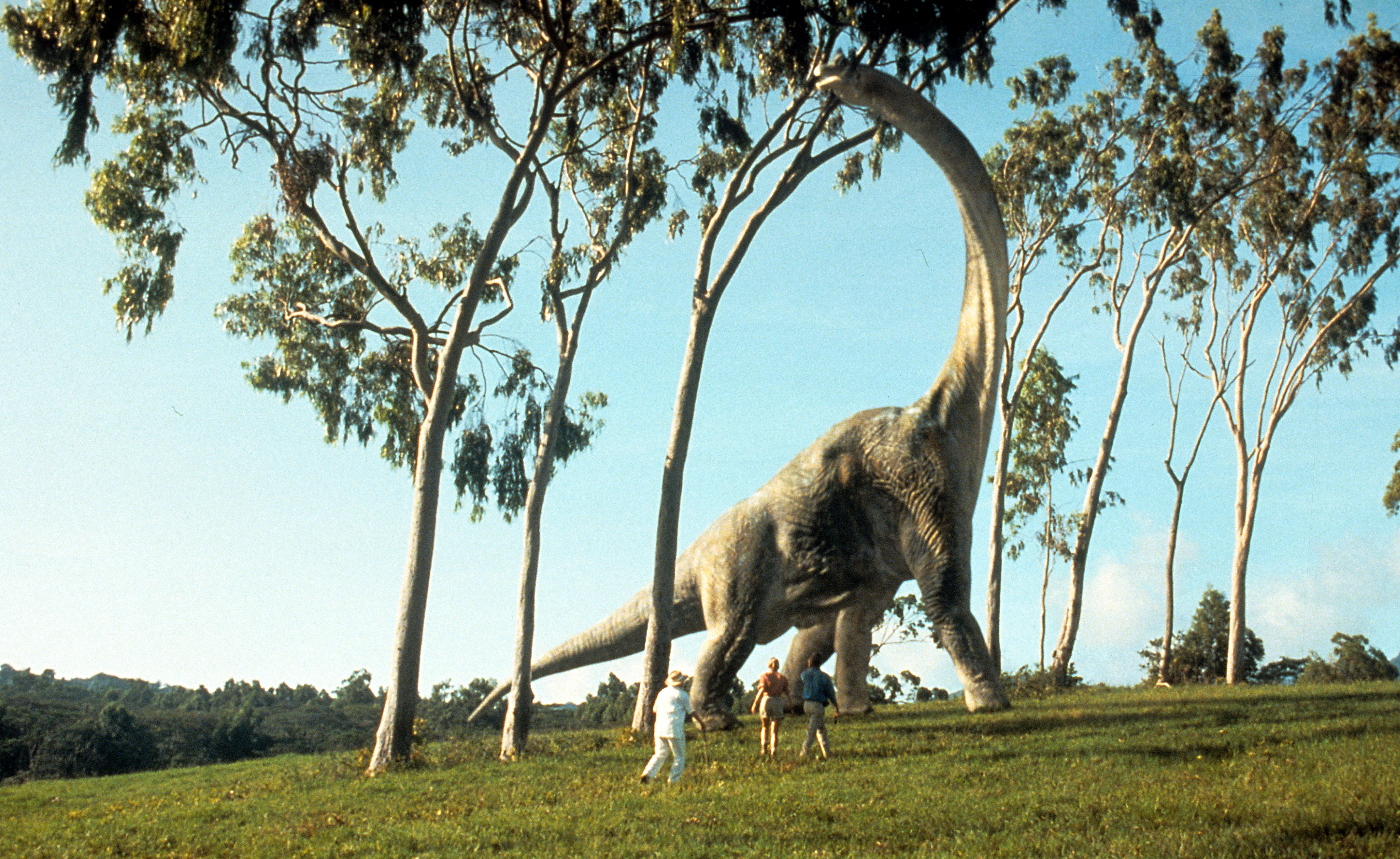 <div class="paragraphs"><p>A brontosaurus eats leaves in a scene from the film 'Jurassic Park', 1993. </p></div>