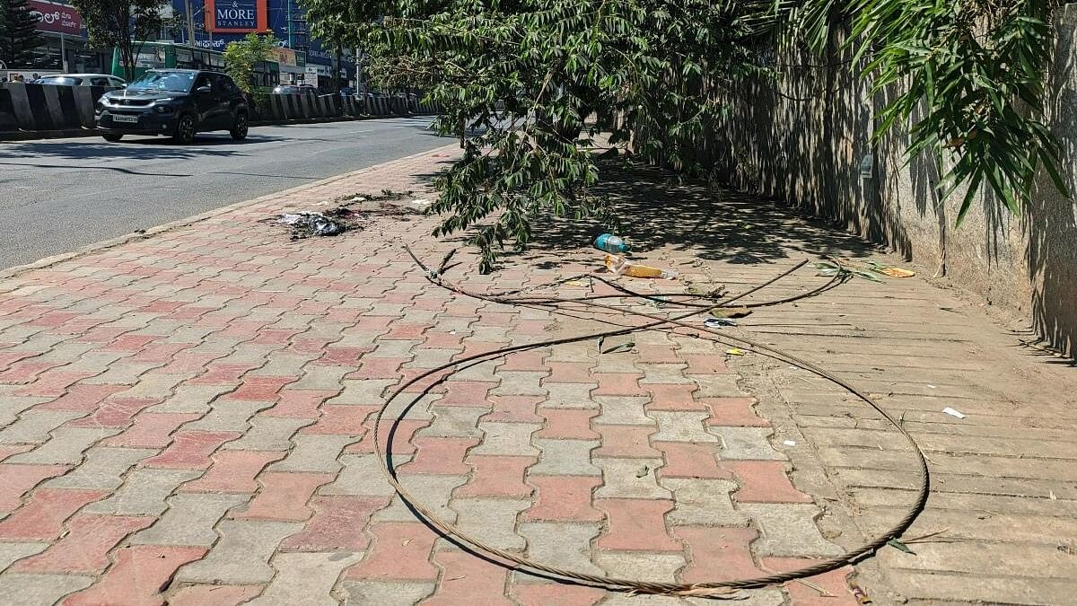 <div class="paragraphs"><p>The spot where a 23-year-old woman and her nine-month-old toddler died after the former stepped on a live electric wire in the early hours of Sunday near Hope Farm junction in Whitefield, Bengaluru. </p></div>