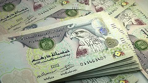 <div class="paragraphs"><p>Money of United Arab Emirates. </p></div>