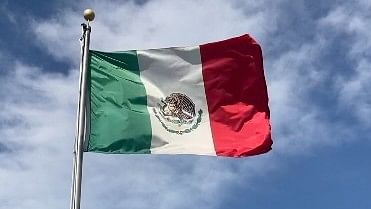 <div class="paragraphs"><p>Mexico Flag.</p></div>