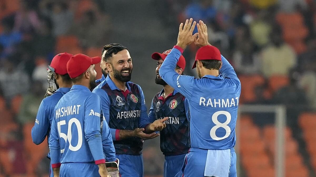 <div class="paragraphs"><p>Afghanistan's Nabi with other players celebrates the wicket of South African batter David Miller.</p></div>