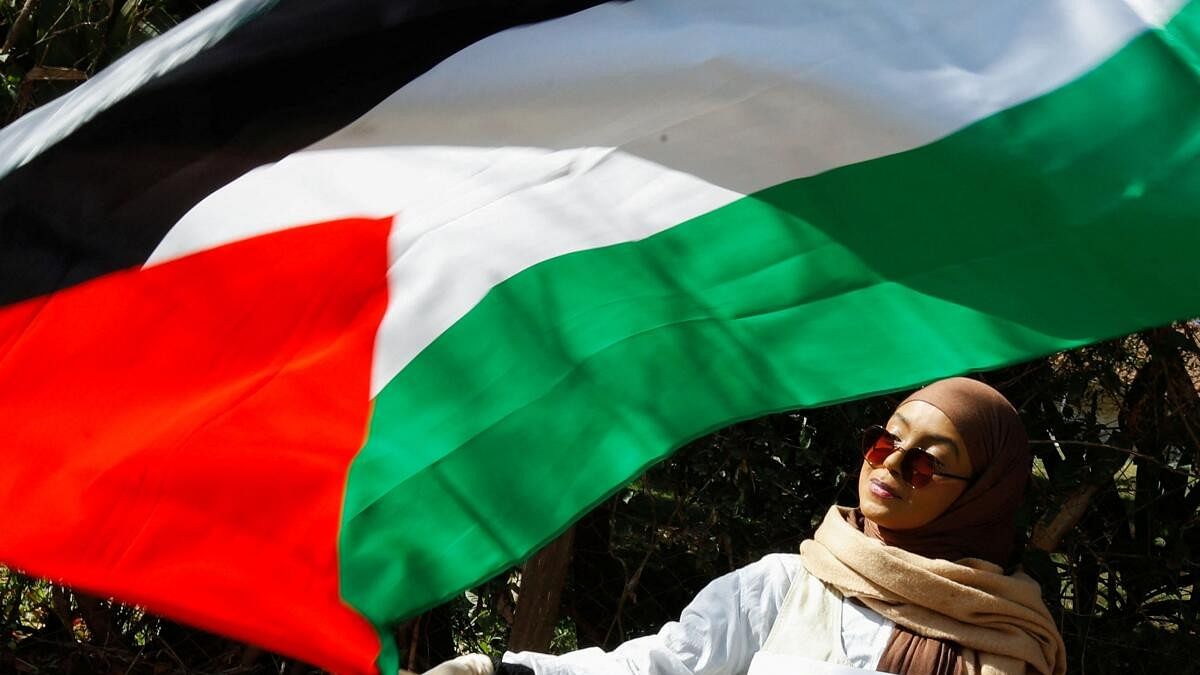 <div class="paragraphs"><p>Representative image of a protester waving a Palestinian flag.</p></div>