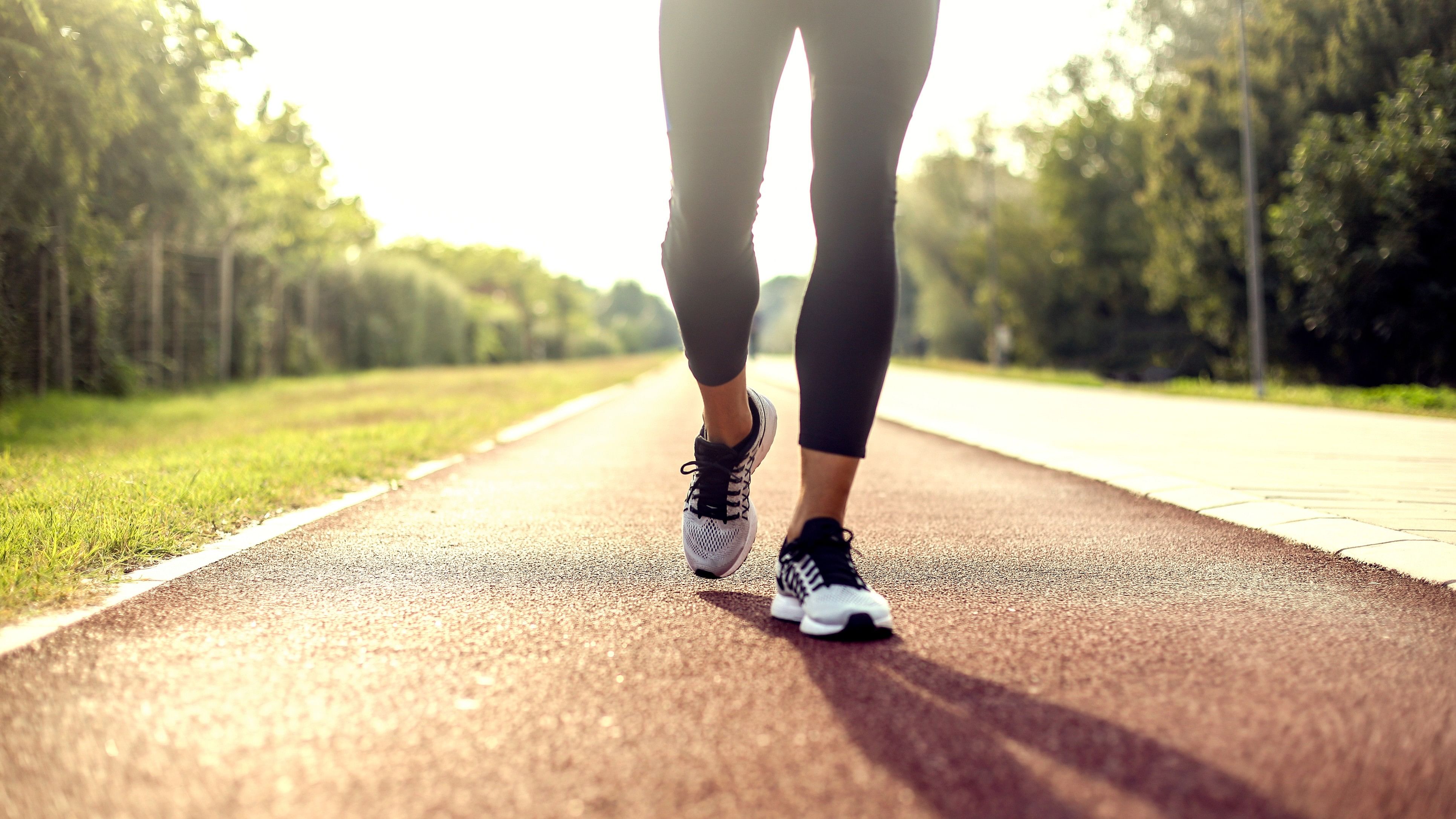 <div class="paragraphs"><p>Representative image of walking track.</p></div>