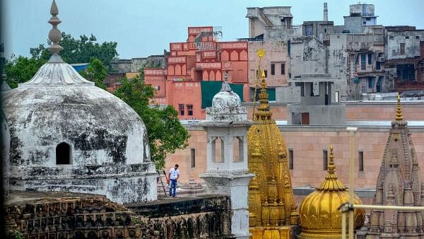 <div class="paragraphs"><p>Archaeological Survey of India (ASI) team member during scientific survey at the Gyanvapi mosque complex, in Varanasi.</p></div>