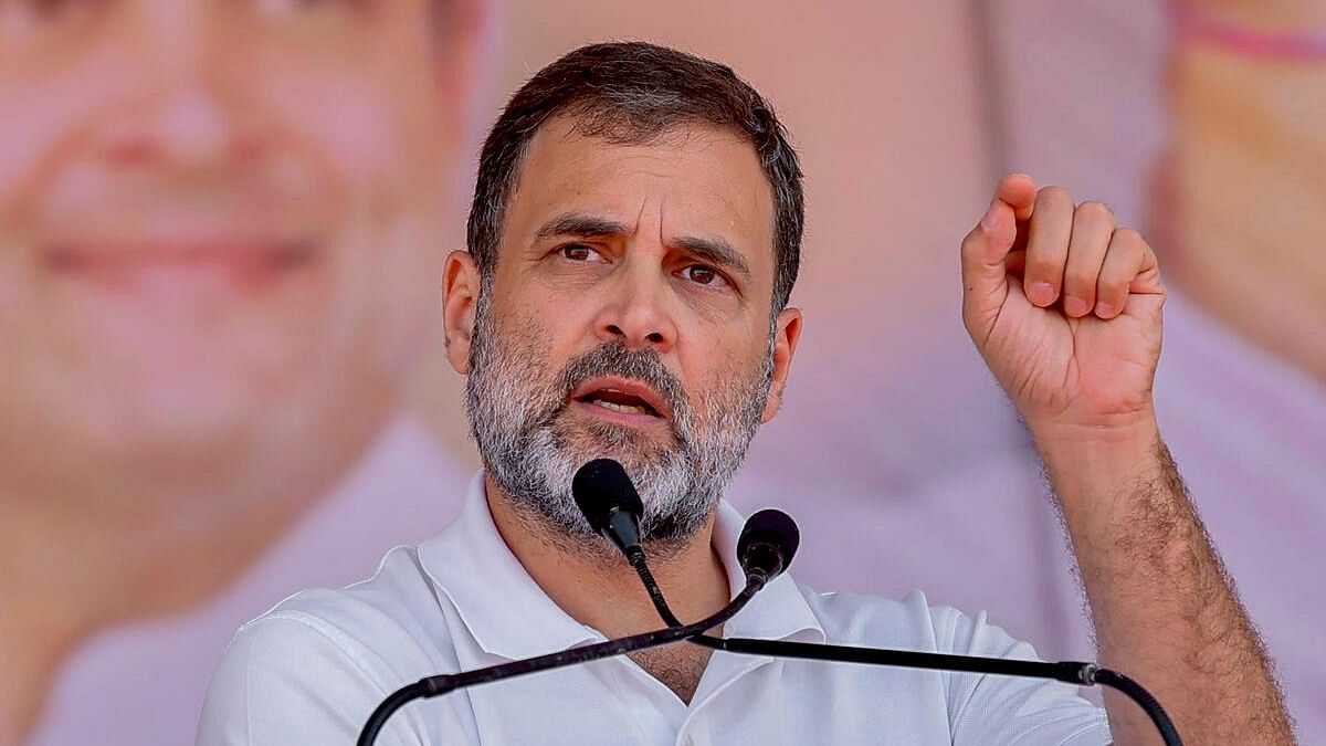 <div class="paragraphs"><p>Congress leader Rahul Gandhi addresses a public meeting ahead of Madhya Pradesh assembly elections.</p></div>