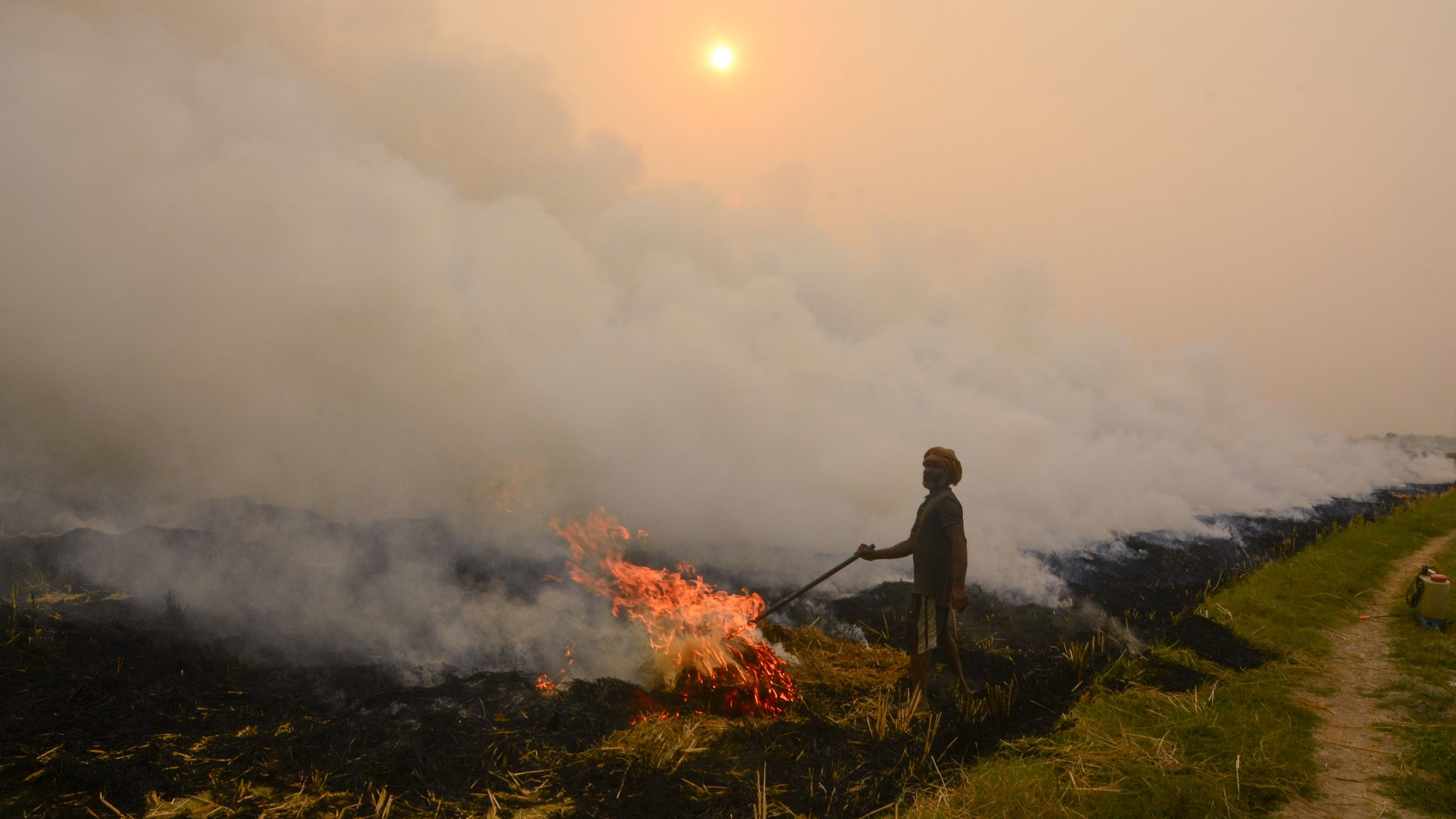<div class="paragraphs"><p>A farmer burns stubble (parali) to remove paddy crop residues from a field, near Patiala<strong>.&nbsp;</strong></p></div>