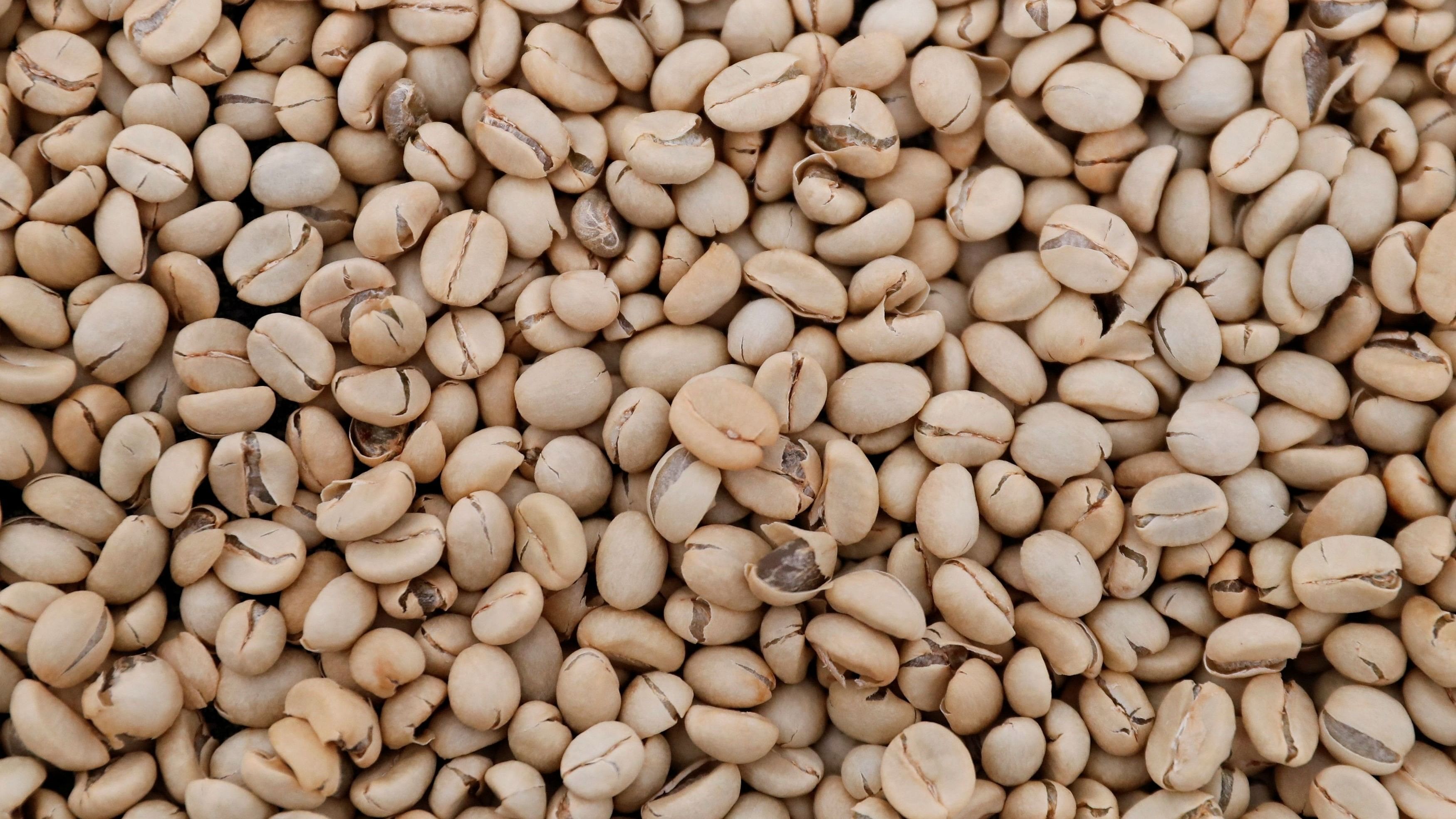 <div class="paragraphs"><p>Representative image of coffee beans.</p></div>