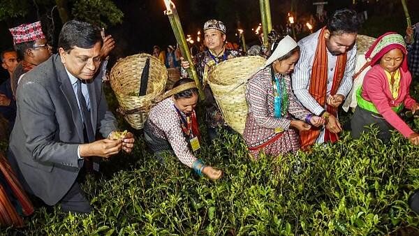 <div class="paragraphs"><p>Union Minister for Culture, Tourism and Development of North Eastern Region (DoNER), G. Kishan Reddy with delegates participates in Moonlight tea plucking and tea tasting, in Darjeeling.</p></div>