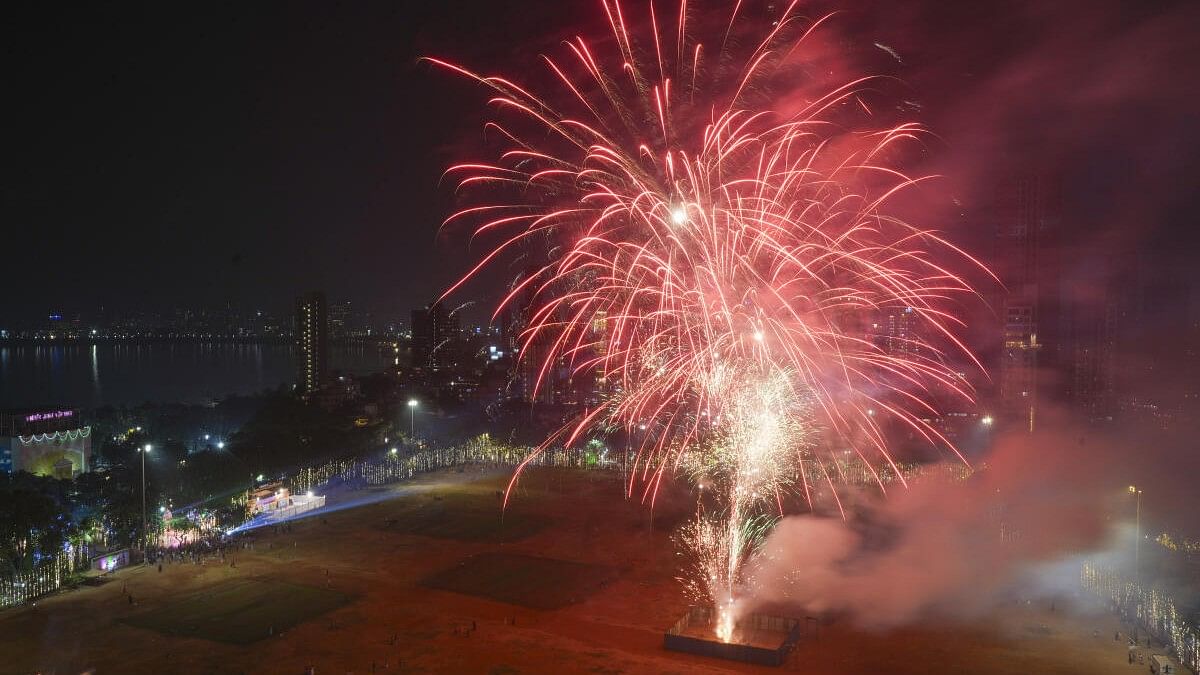 <div class="paragraphs"><p>Firecrackers light up the sky during Diwali celebration</p></div>